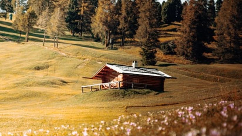 small hut amid a white flower garden