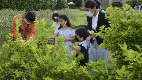 Heritage Village Resorts Manesar - Image of staff members guiding children through the organic garden