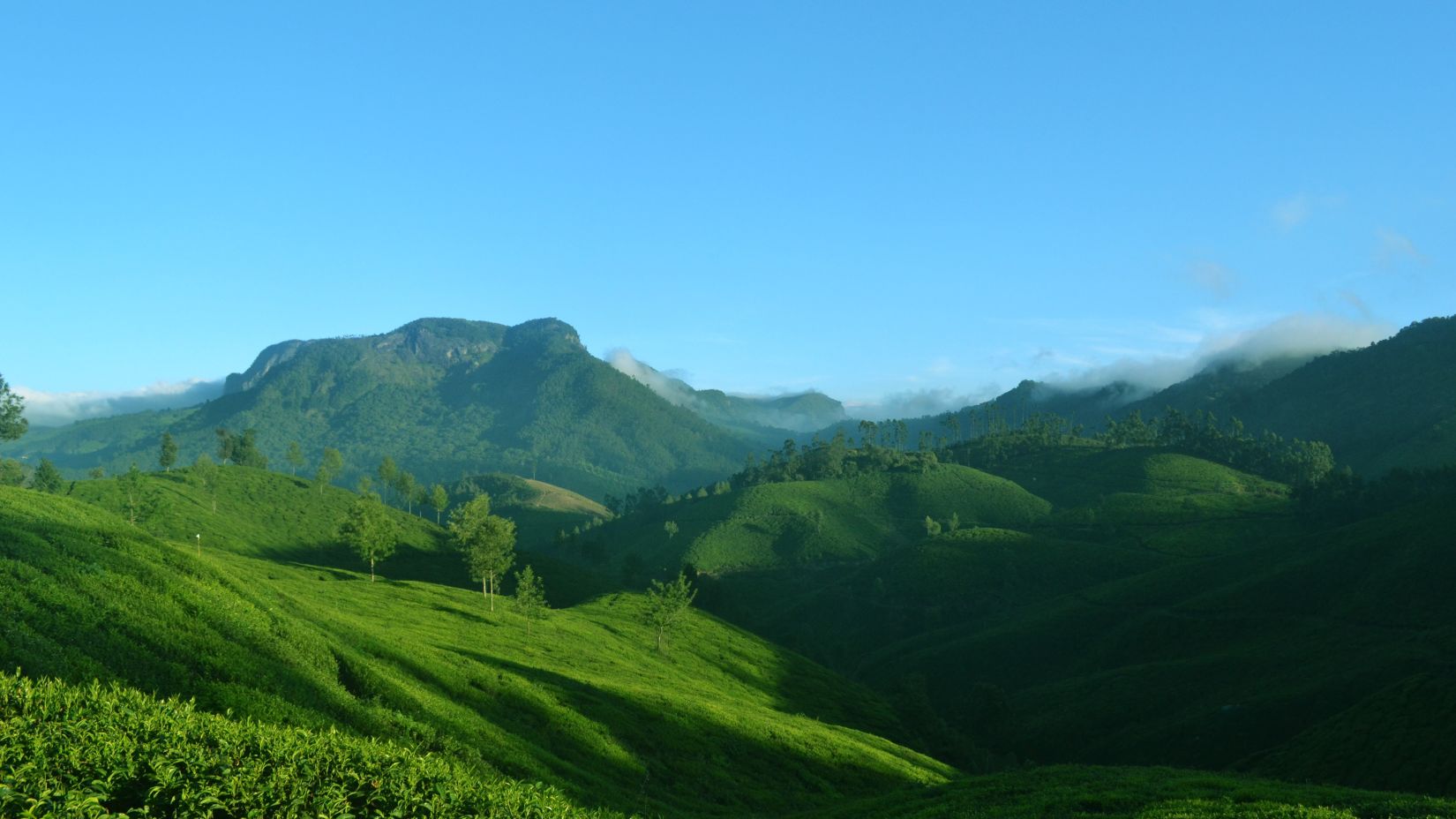 munnar-1639120