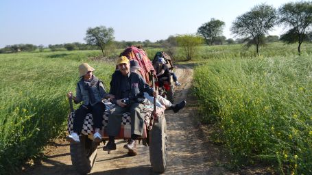 Camel Cart Ride at Umaid Palace Hotel Kalakho Dausa Rajasthan