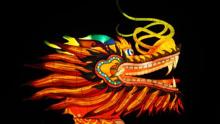 a close up shot of a dragon that is made for Lunar New Year festivities