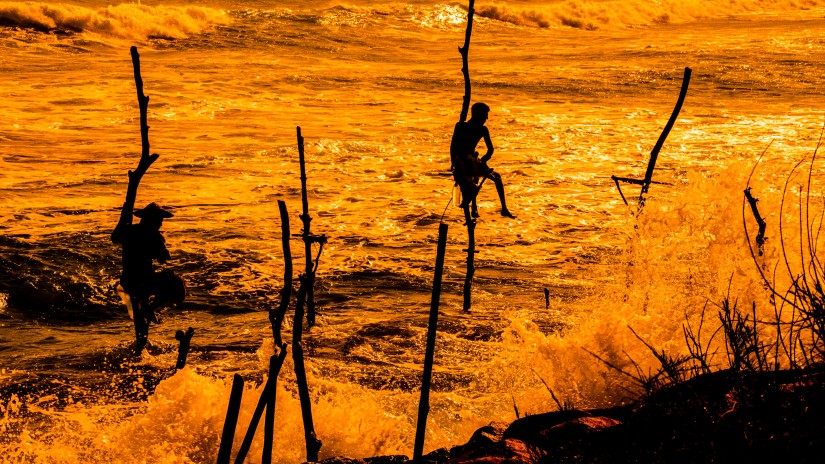 Owl and the Pussycat Hotel in Galle - Fishermen in Sri lanka stilt fishing