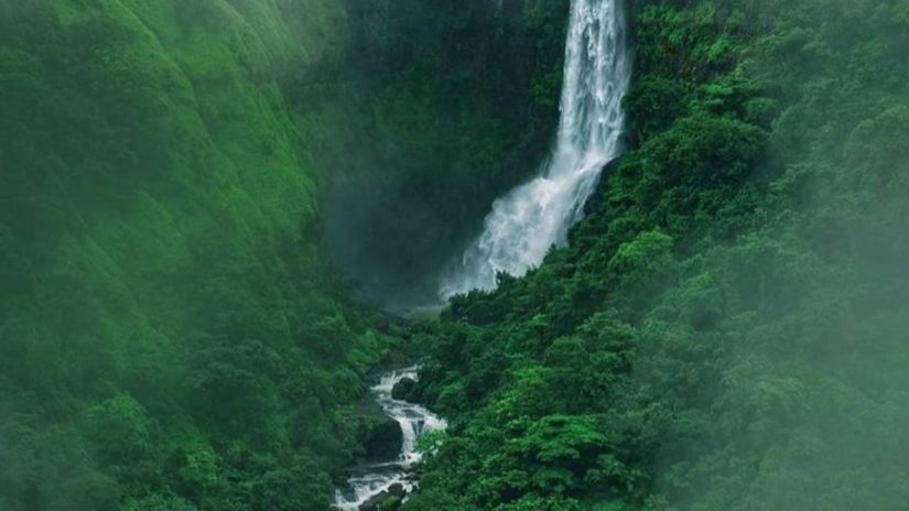 A waterfall in the middle of a lush green forest.