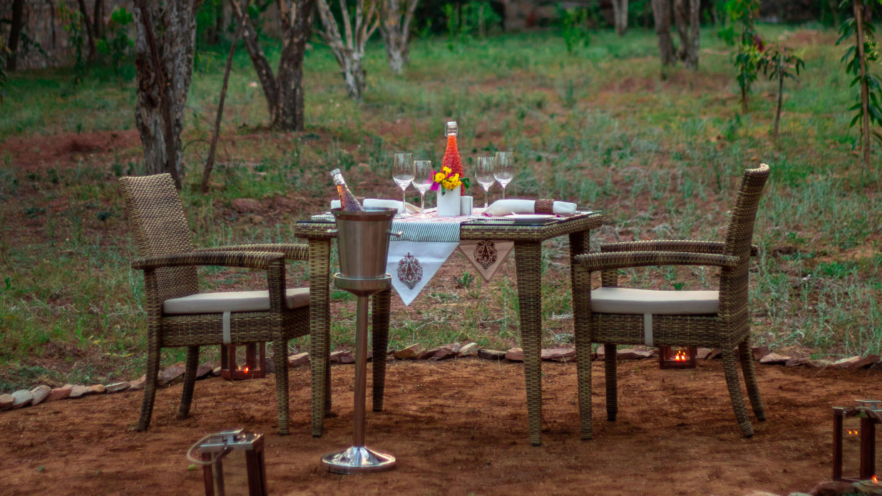 Dining table in an orchard, Brij Bageecha, Jaipur