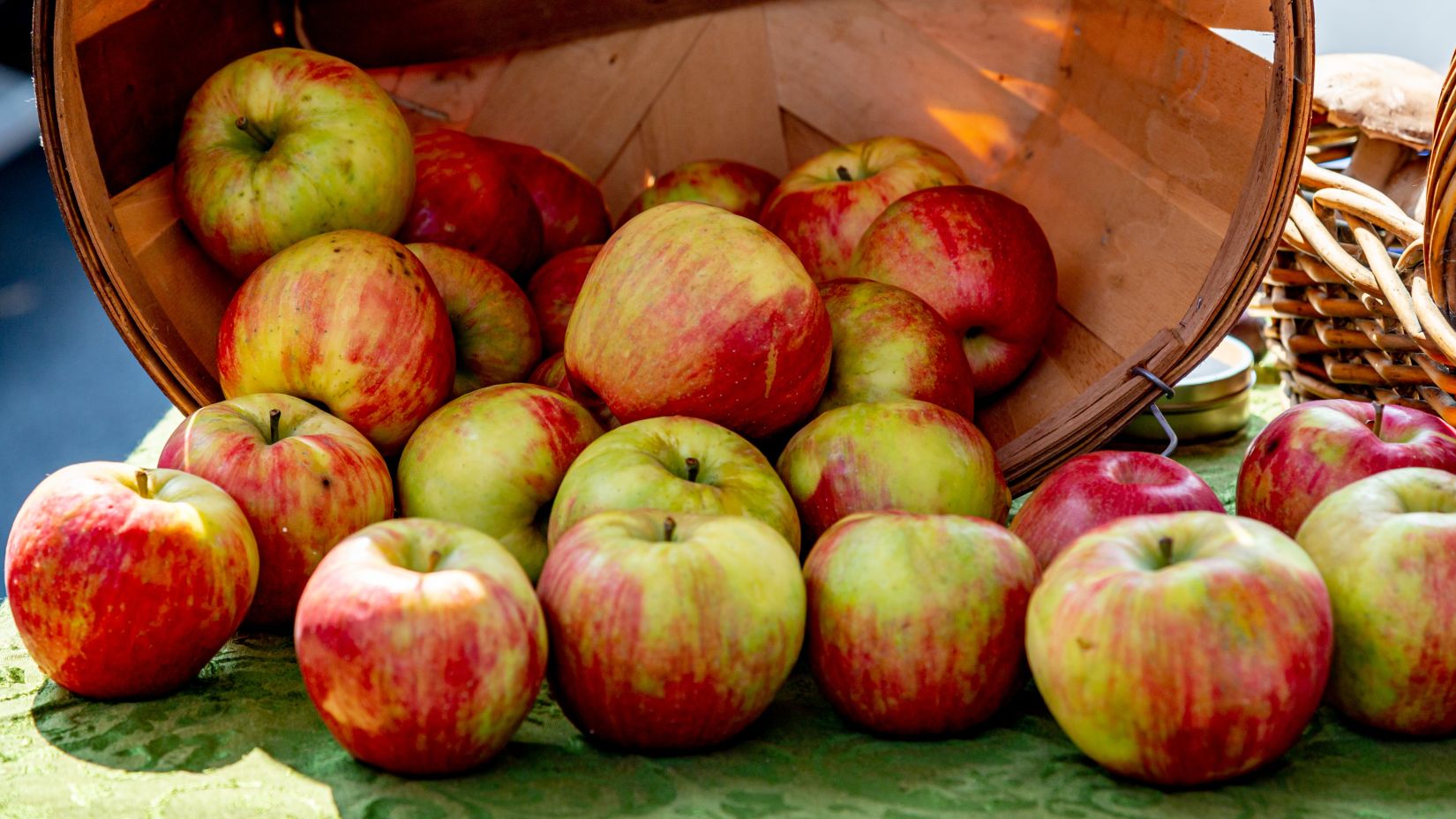 Apples falling from a basket 