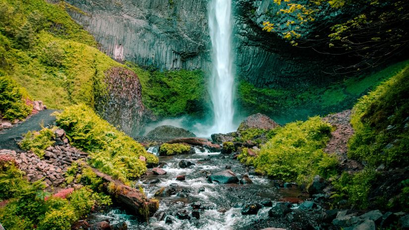 a waterfall surrounded by lush greenery