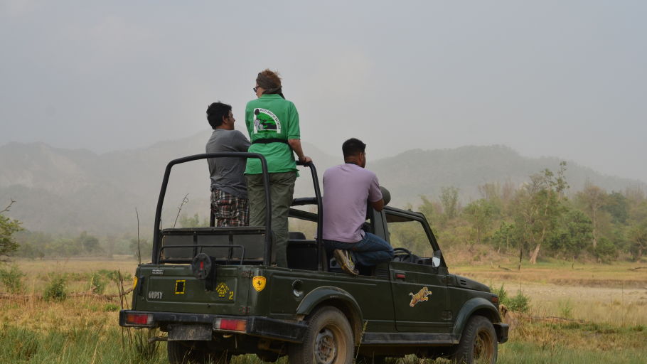  Jeep Safari adventure at Wild Brook Retreat, Rajaji National Park