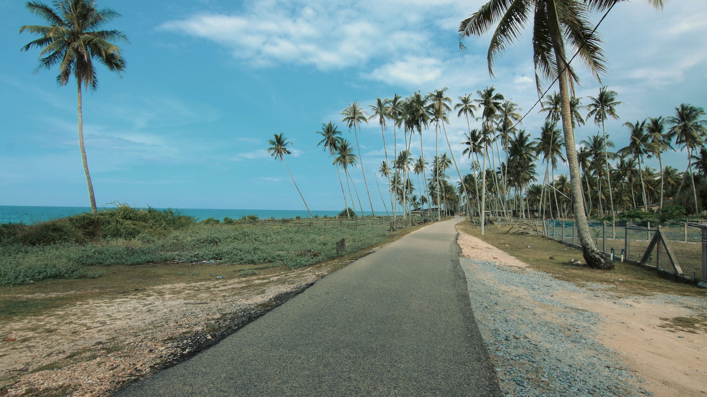 beautiful Road full of palm trees on the sides @ Lamrin Ucassaim Hotel, Goa