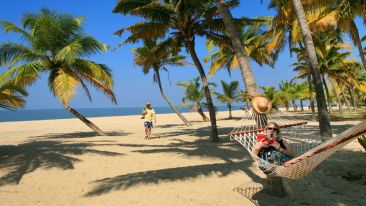 abad-turtle-sea-shore-resort, Contact Beach Resort in Marari, Beach resorts in Allepey, 4 Star Resorts in Alleppey, Best Beach Resorts in Alleppey, Best Beach Resorts Near Cochin, Beach Resorts in Kerala