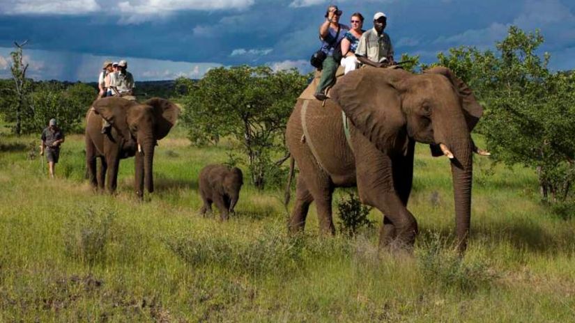 Leisure Hotels  Elephant Safari Corbett Leisure Hotels