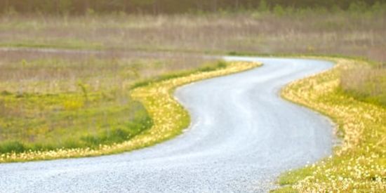 alt-text wavy road amid a garden