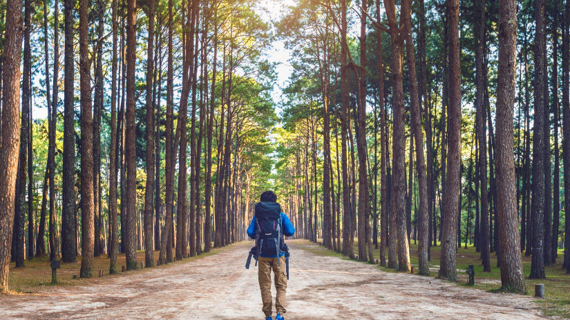 a man hiking with a backpack amidst a forest