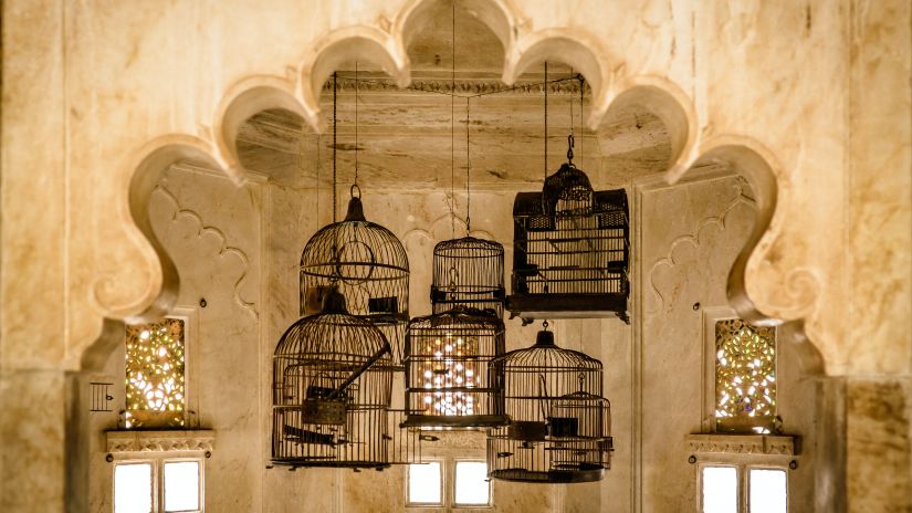 bird cages inside a royal building and walls with ancient stone carvings