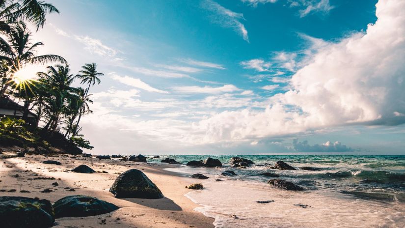 A beach with palm trees on a cloudy day