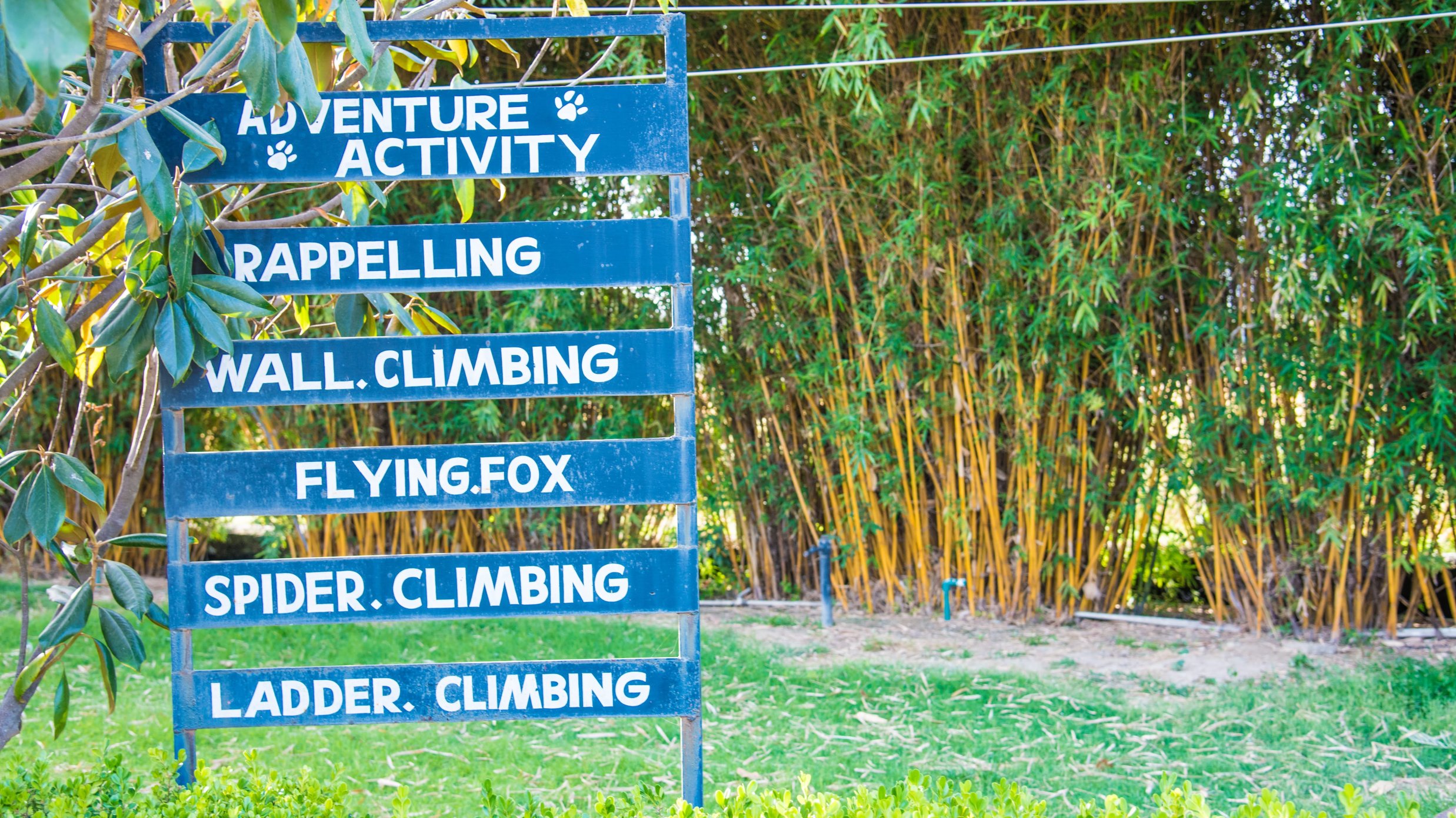 Recreation at The Golden Tusk, Jim Corbett