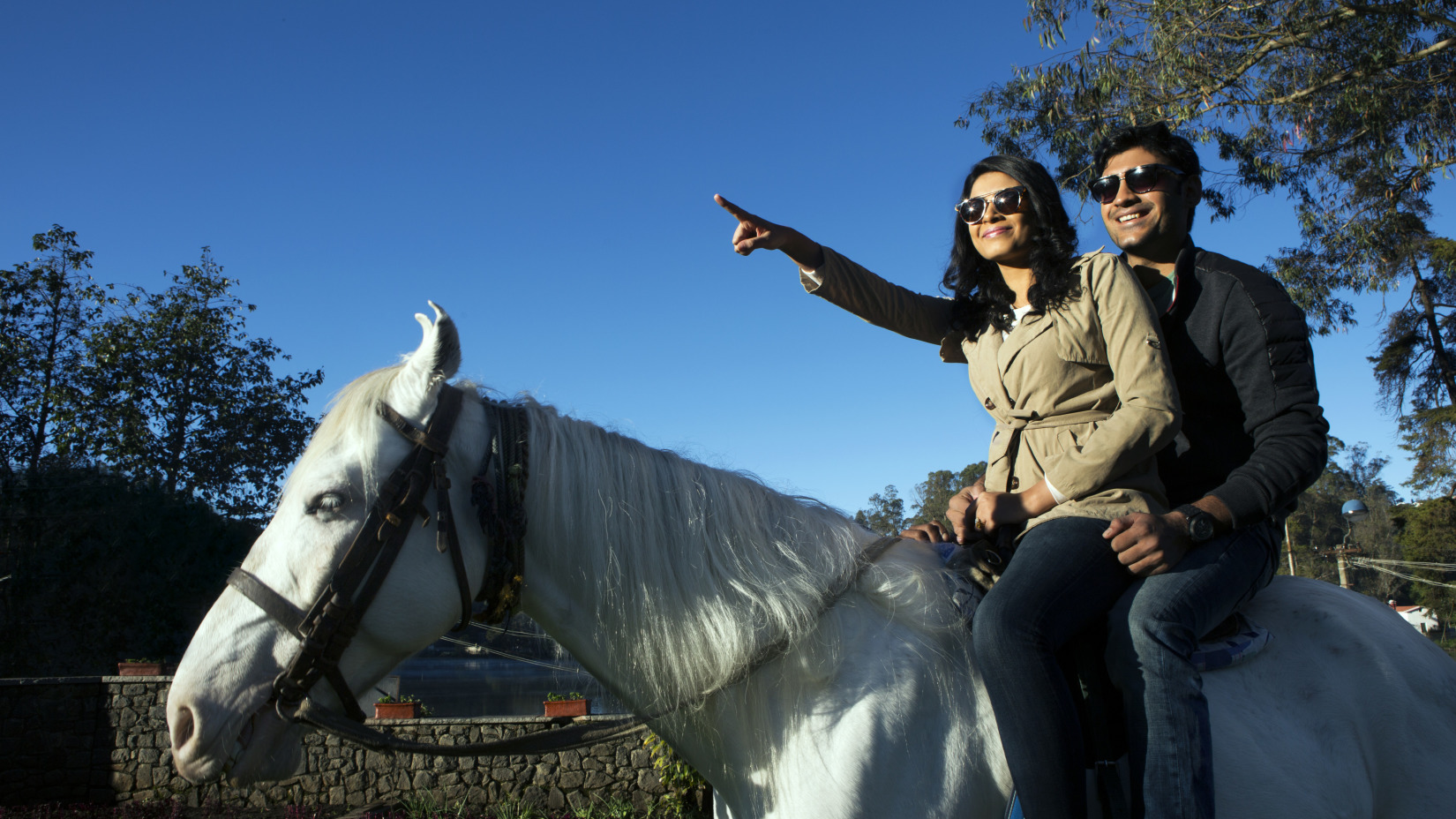 a couple on a horse