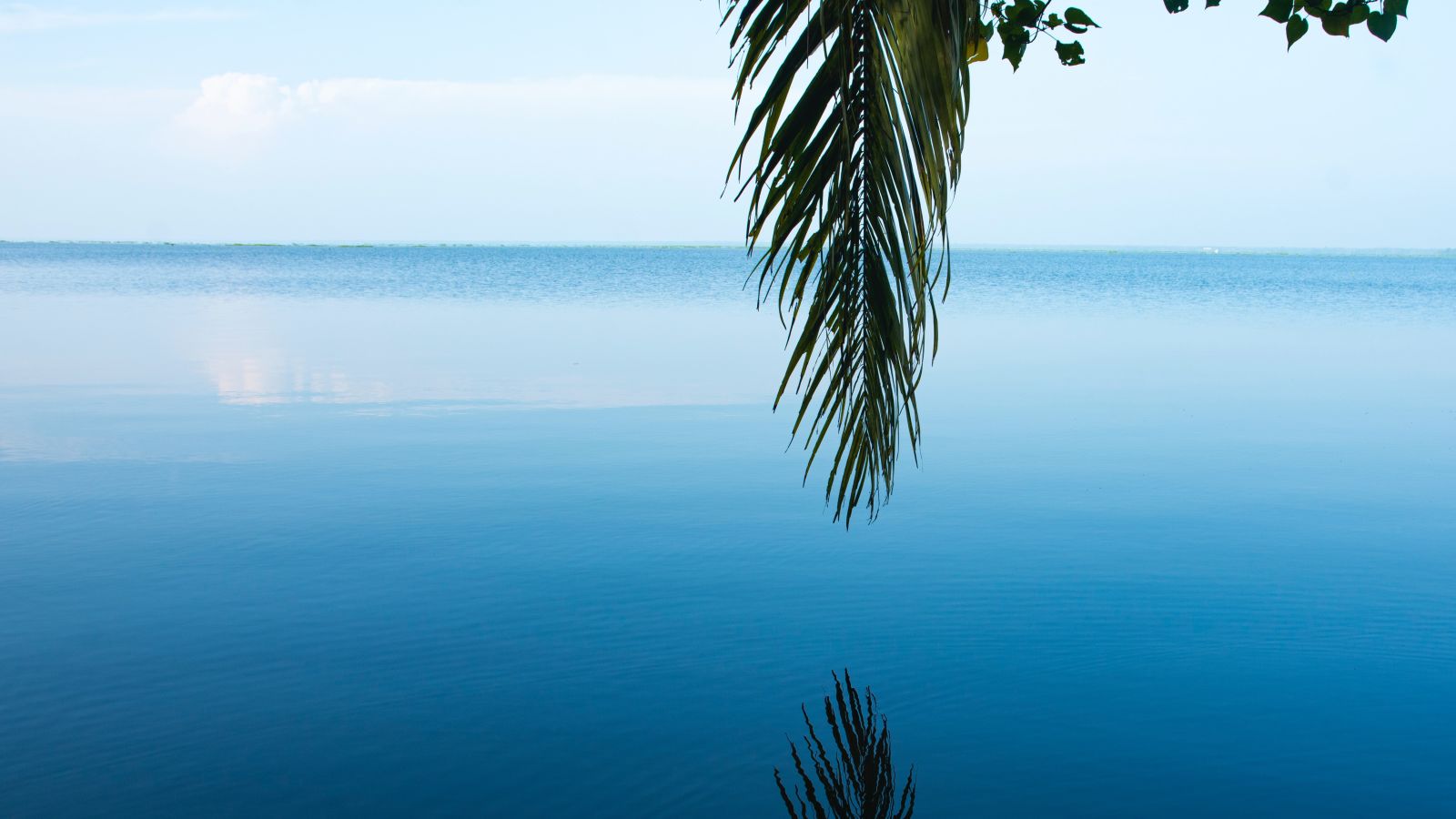 a striking view of a lake in Kumarakom