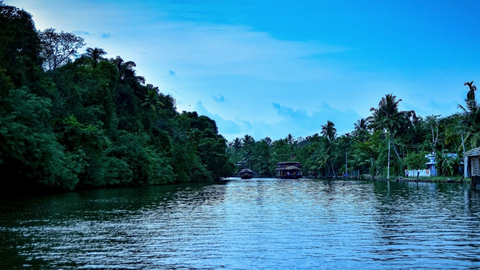 backwaters of kumarakom