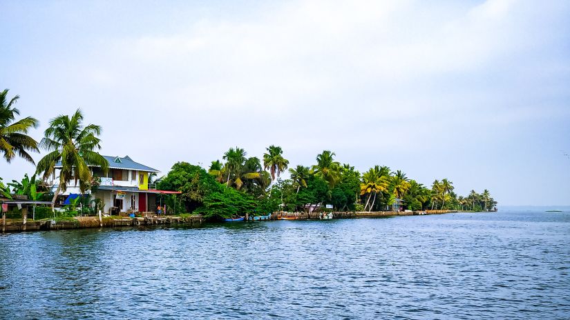 still blue water with lush green trees on an island with a house