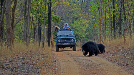 4X4 Game Drive at Satpura National Park, Wildlife Safari at Satpura National Park, Wildlife Sanctuary close to our resort in Satpura, Drive through the Satpura National Park, Satpura Resort, Jungle resorts in Madhya Pradesh, Forest resorts in Madhya Prades