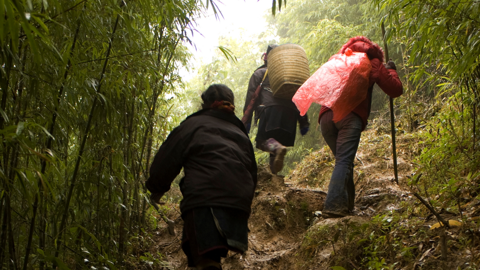 people on a trek