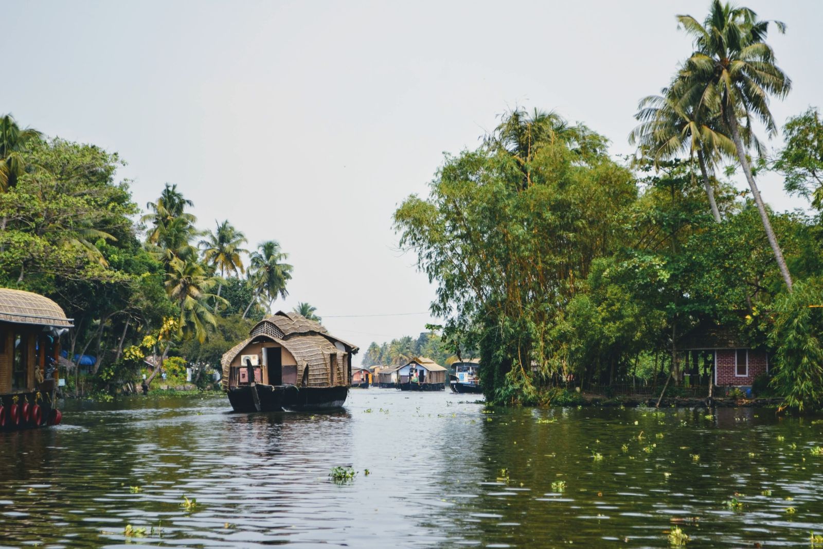 Houseboat traversing through a lagoon with plants floating on water and trees on either sides