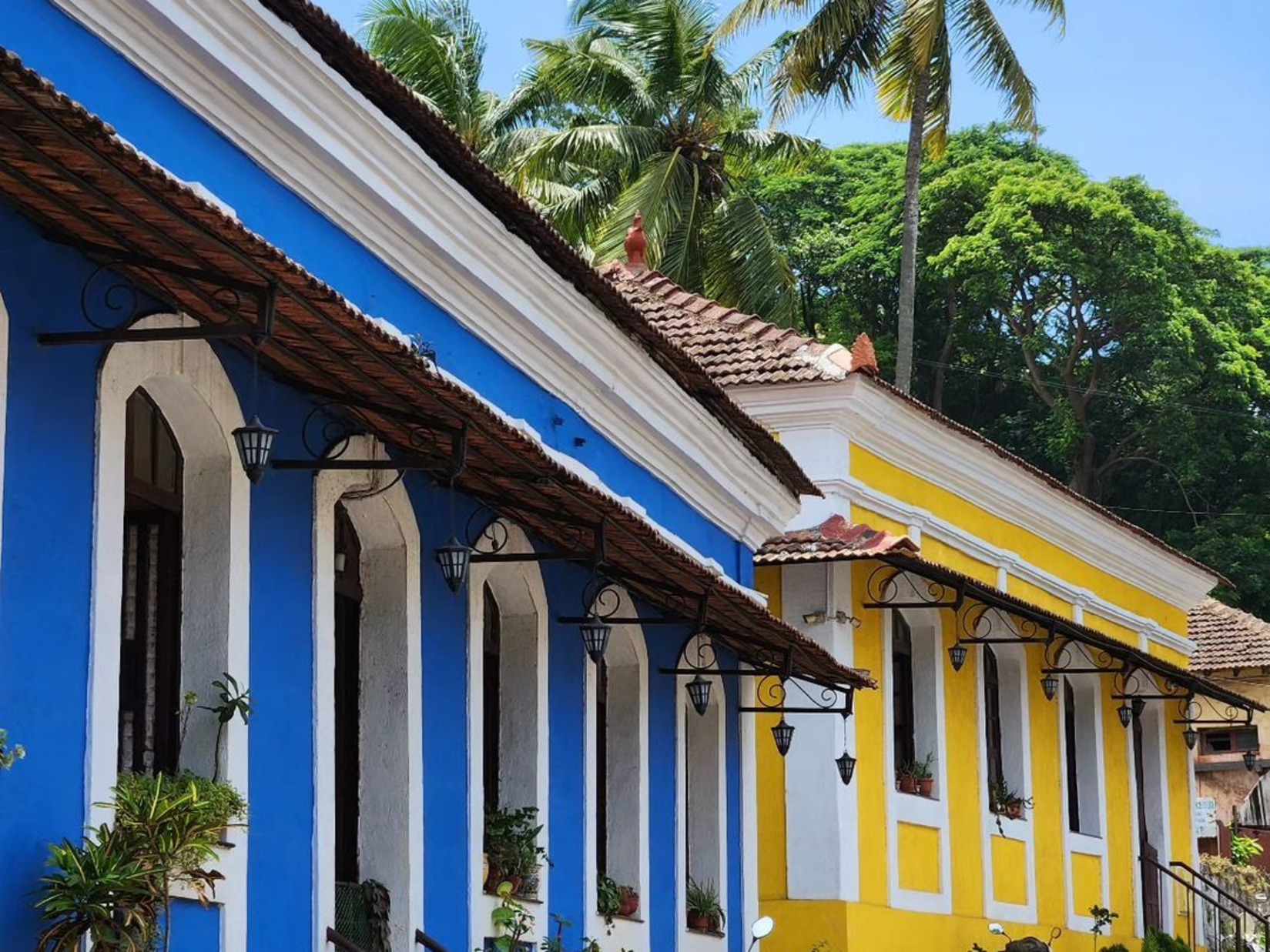 Vibrant buildings amidst coconut trees on the streets of Goa