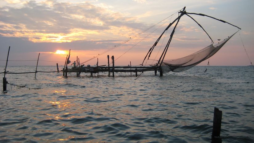 Fishing Net The Gokulam Park Kochi