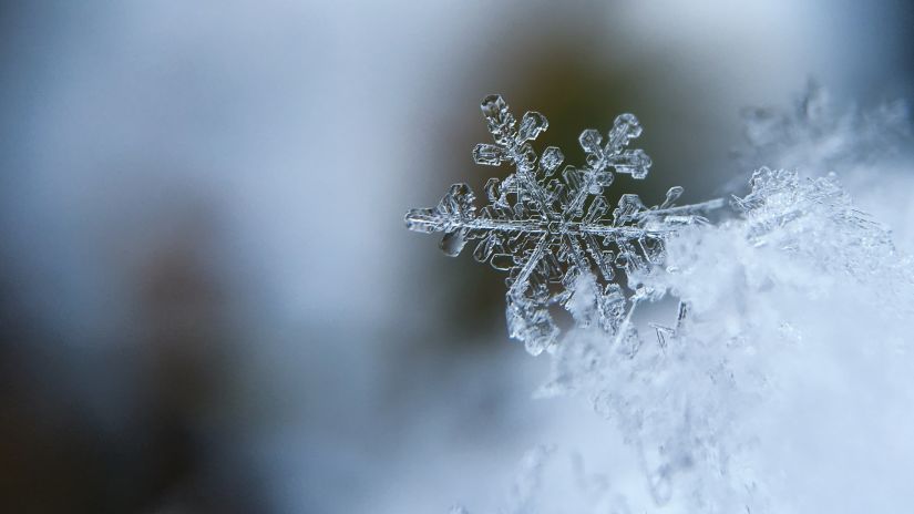 An image of an Ice crystal