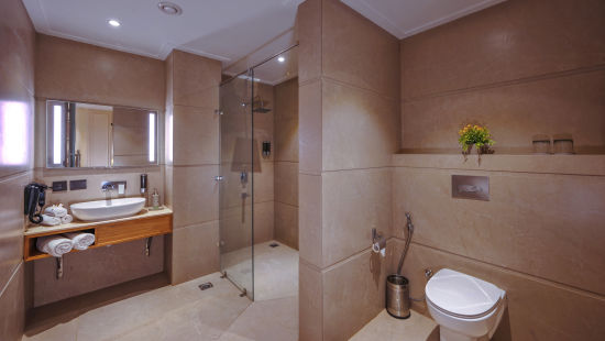 Suite Bathroom