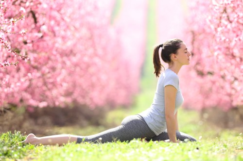 Woman training yoga in a park, cherry blossoms on background, May