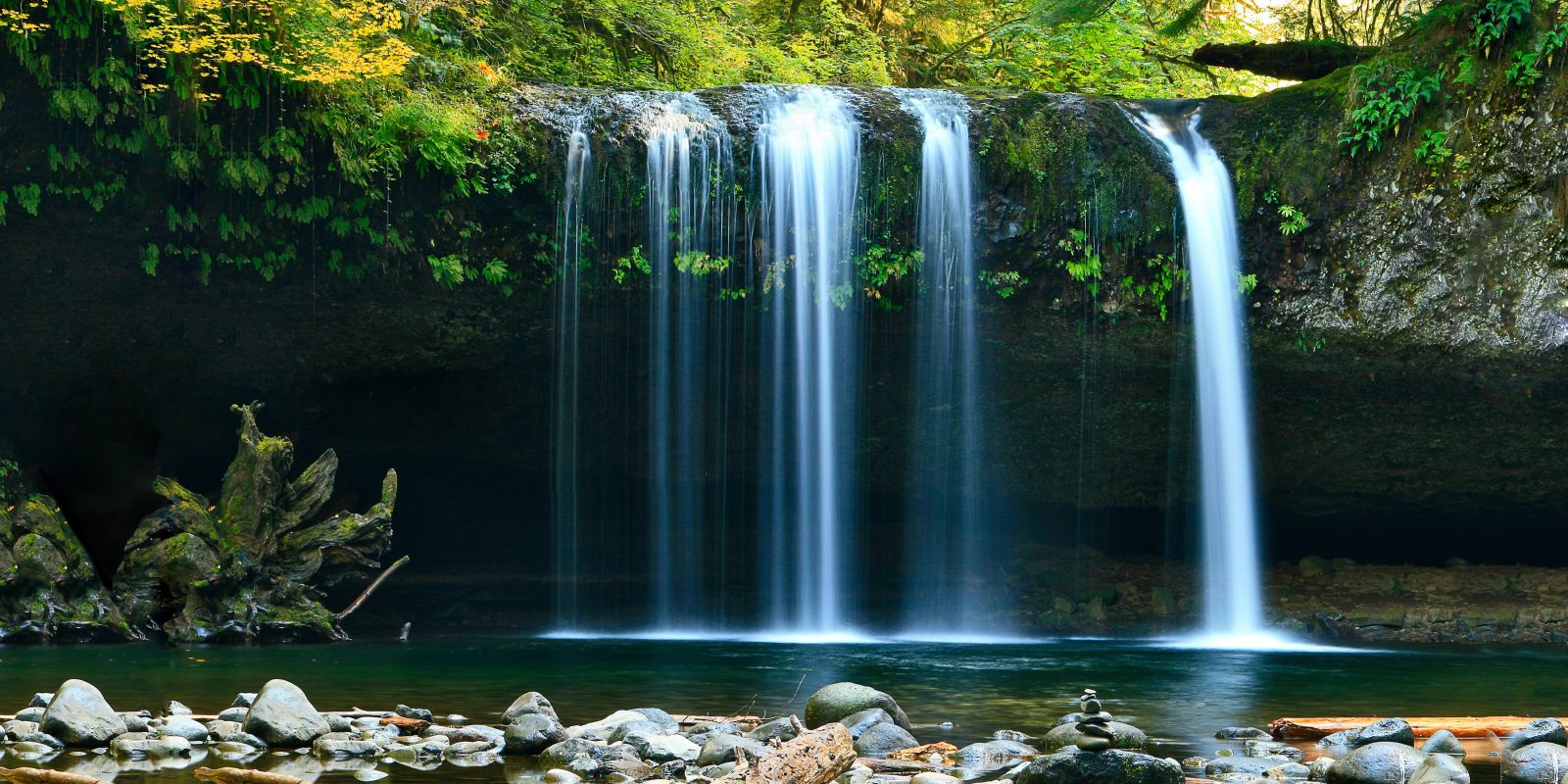 a waterfall surrounded by greenery during daytime