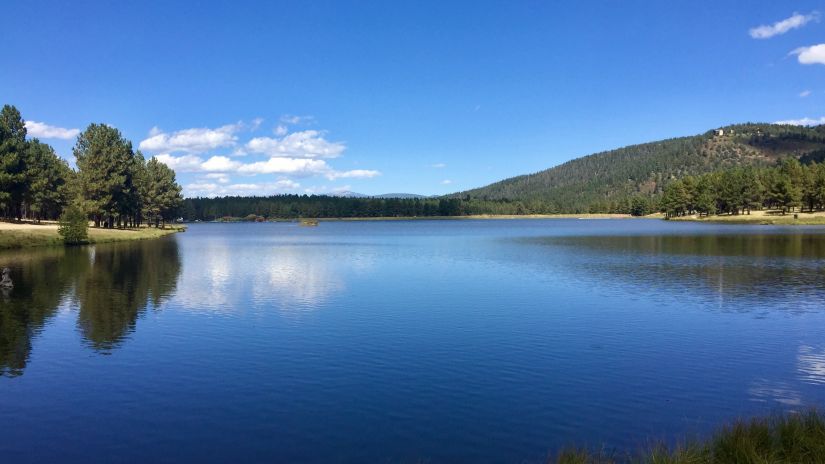 an overview of a peaceful lake with trees on either side