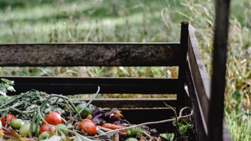 a picture of a compost