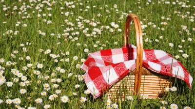 Aloha on the Ganges Haridwar picnic lunch 1 aloha on the ganges resort and hotel rishikesh