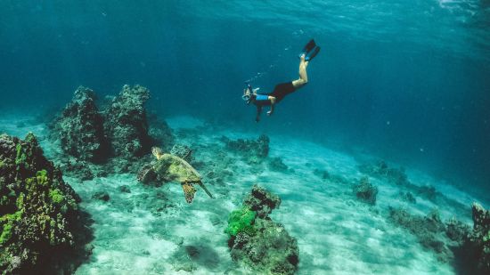 an underwater view where a person is scuba diving