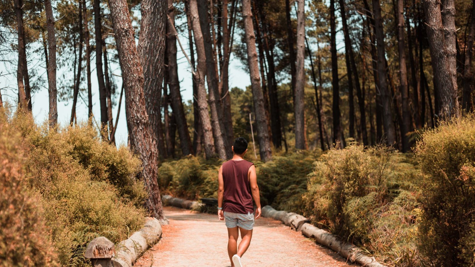 a person walking on a trail