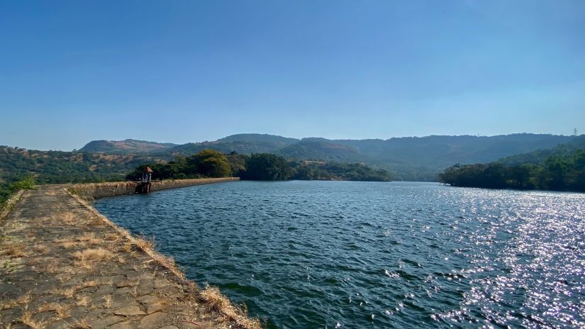 view of a lake surrounded with greenery