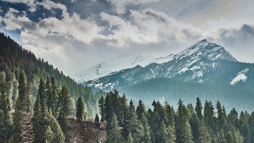 A picture of trees and mountains coated in snow