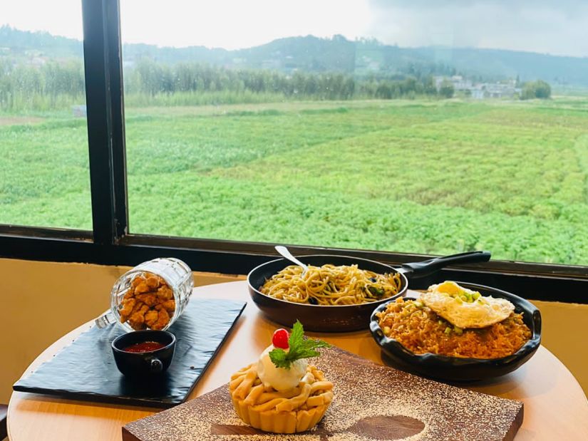 Delicious looking dishes on a table overlooking a scenic lawn