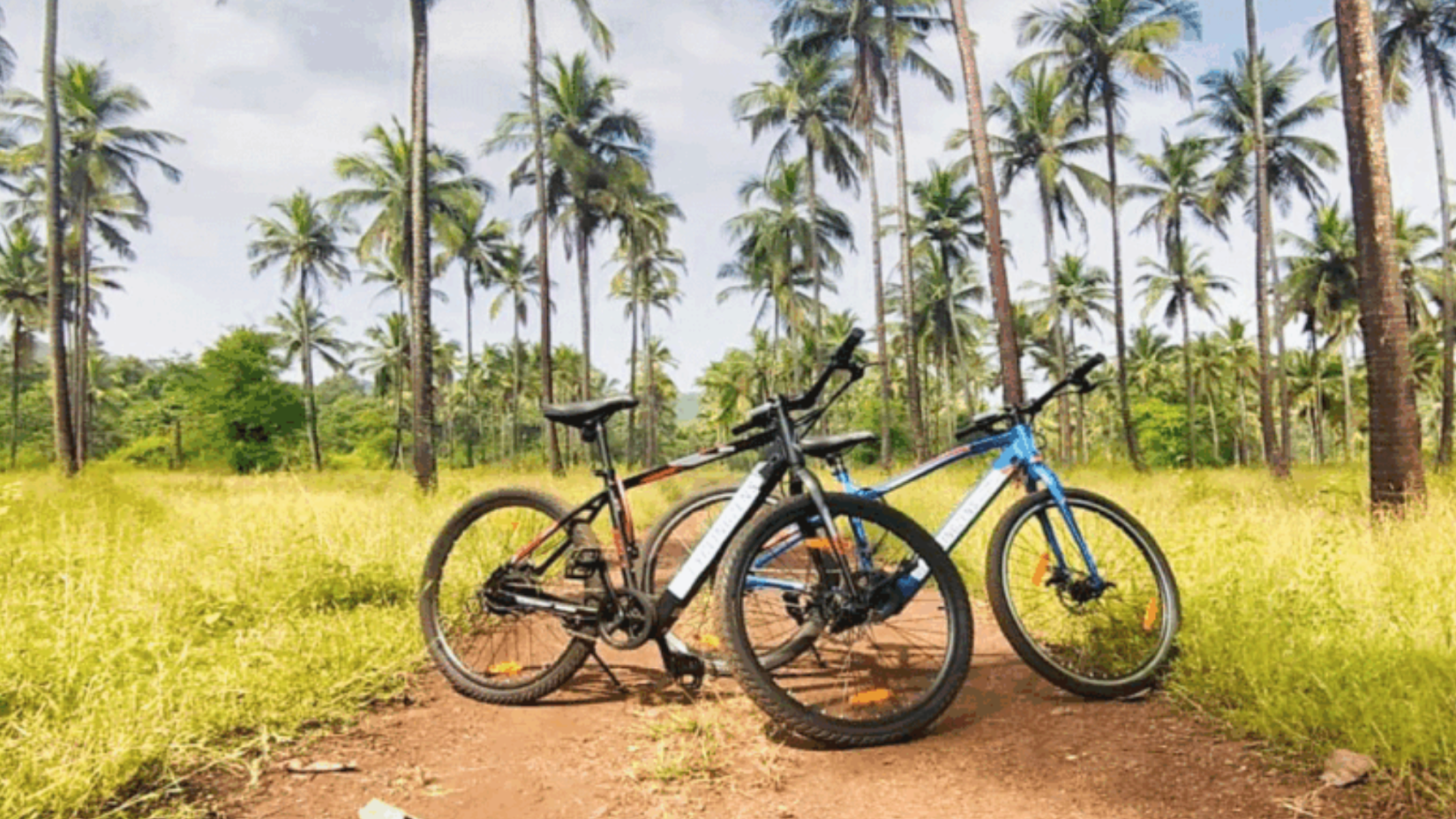 2 cycles parked on a trail in between fields