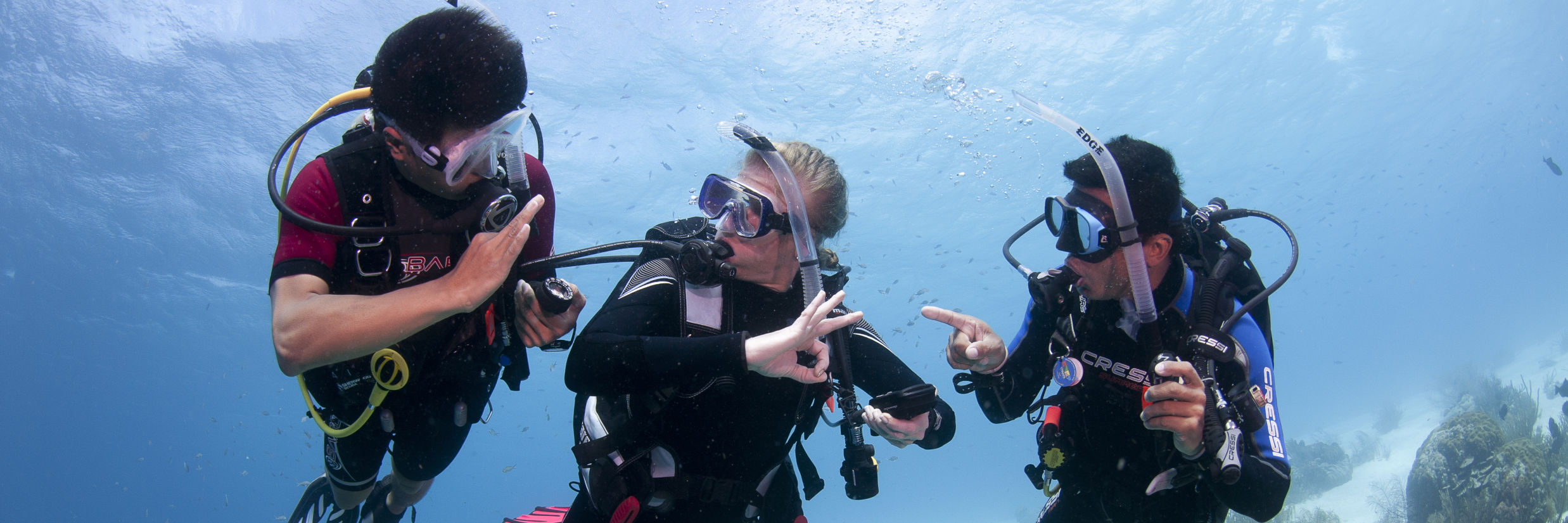 PADI Open Water Scuba Instructor 01 Hero