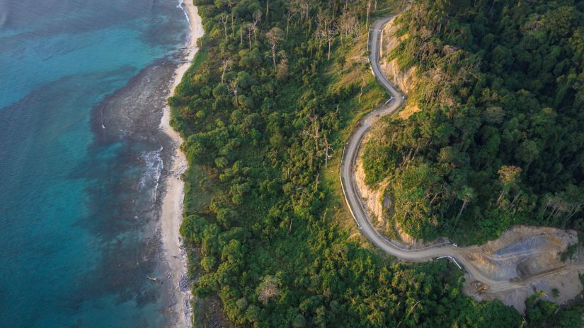 An aerial view of a beach and trees surrounding it