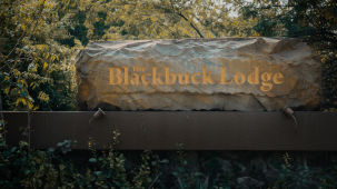 The Blackbuck Lodge - name of our lodge carved on a stone and placed atop a wall