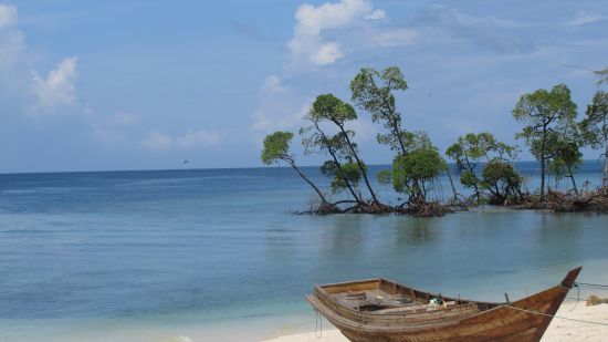 Wooden boat tied to an object fixed on sand with a view of the water and the trees in the backgorund