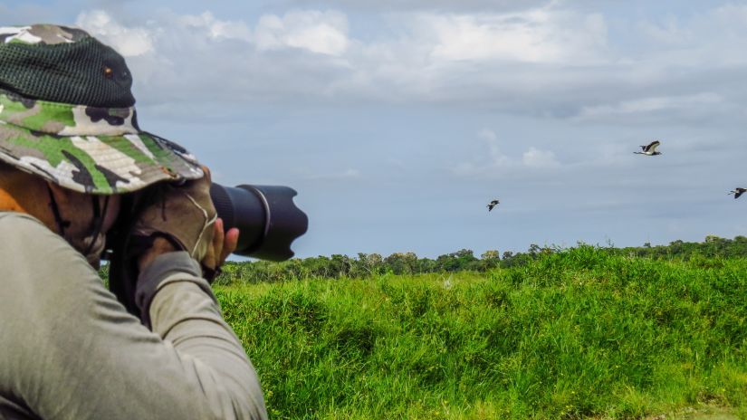 a wildlife photographer taking pictures of birds flying