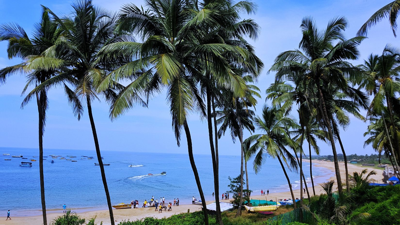 Caravela Beach Resort - view of a beach with coconut trees outlining it