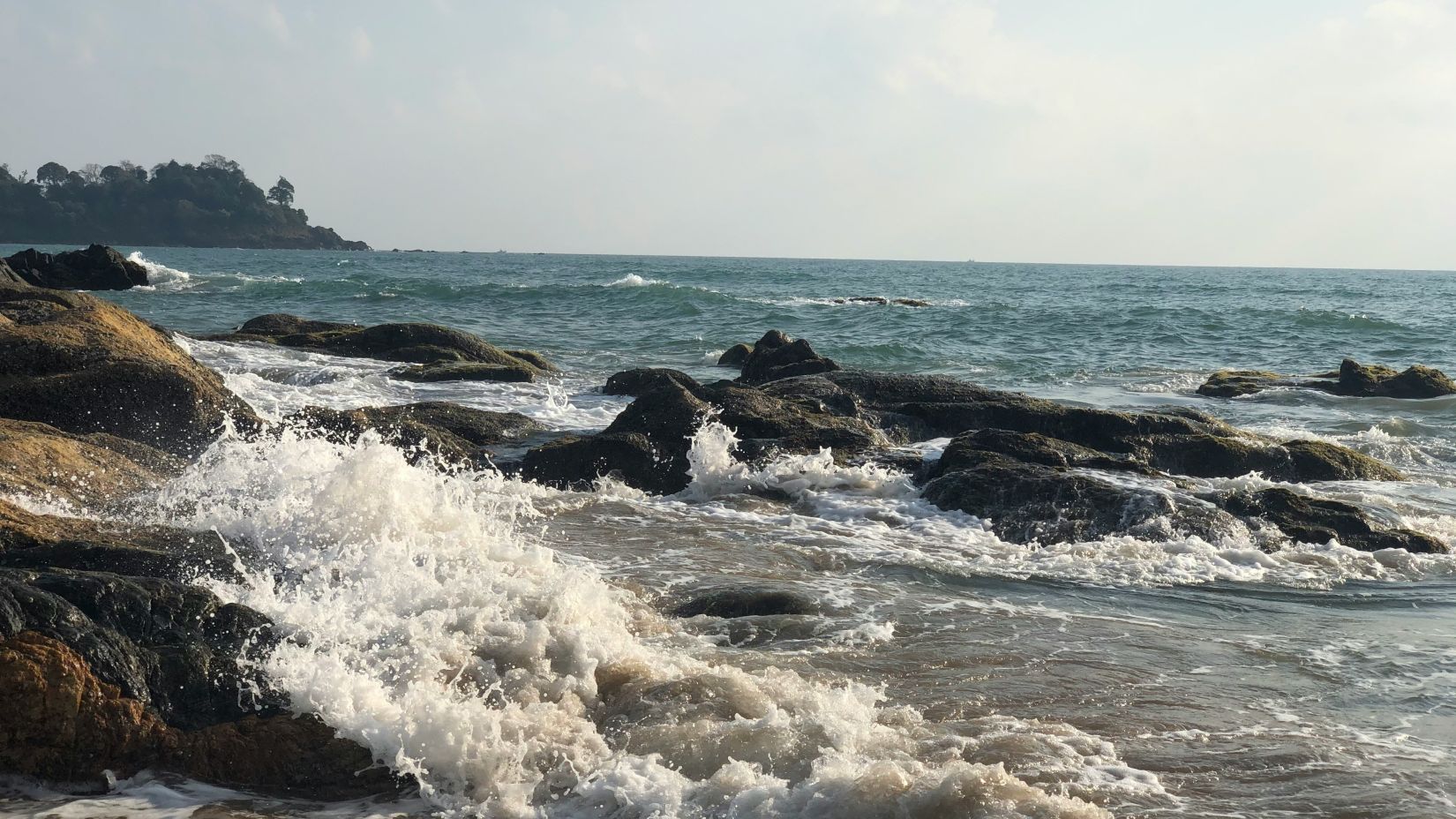 An overview of a beach with rocks on the sands and a forest cover in the background