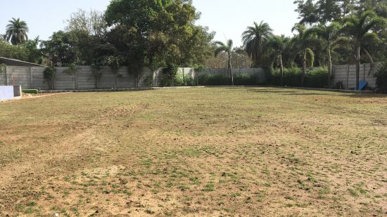 Lawn (1)