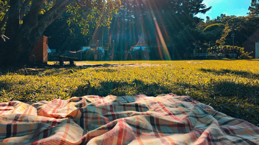 picnic sheet in a garden with sunlight and green trees